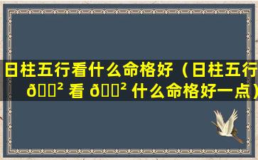 日柱五行看什么命格好（日柱五行 🌲 看 🌲 什么命格好一点）